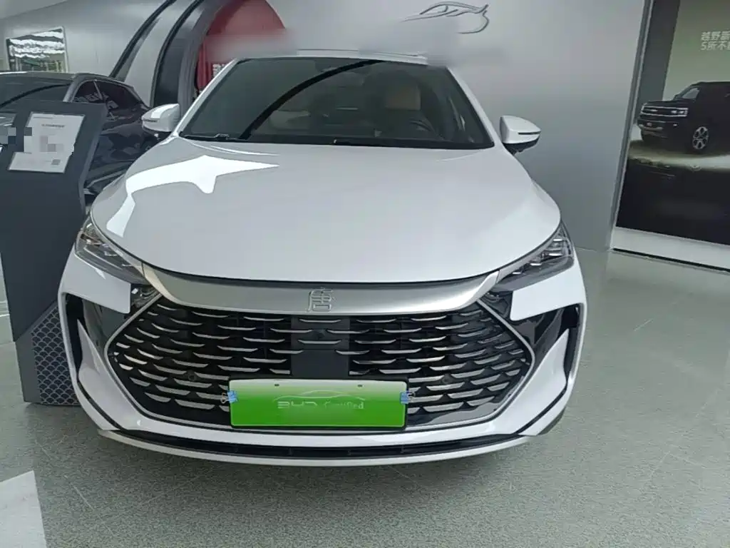 BYD Tang New Energy — миниатюра 3