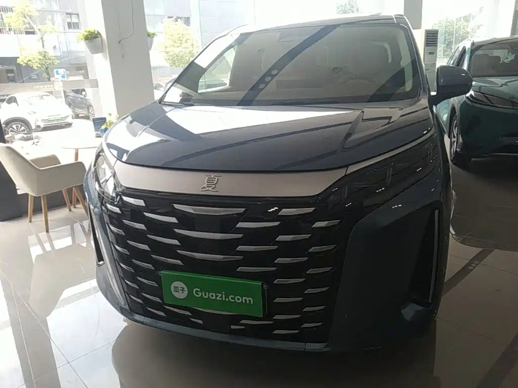 BYD Xia 2025 DM-i 1.5T 180km