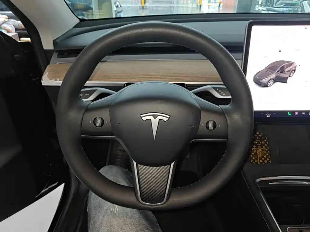 Tesla Model Y — миниатюра 11