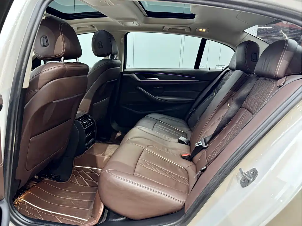 BMW 5 Series 5 2020 530Le Luxury