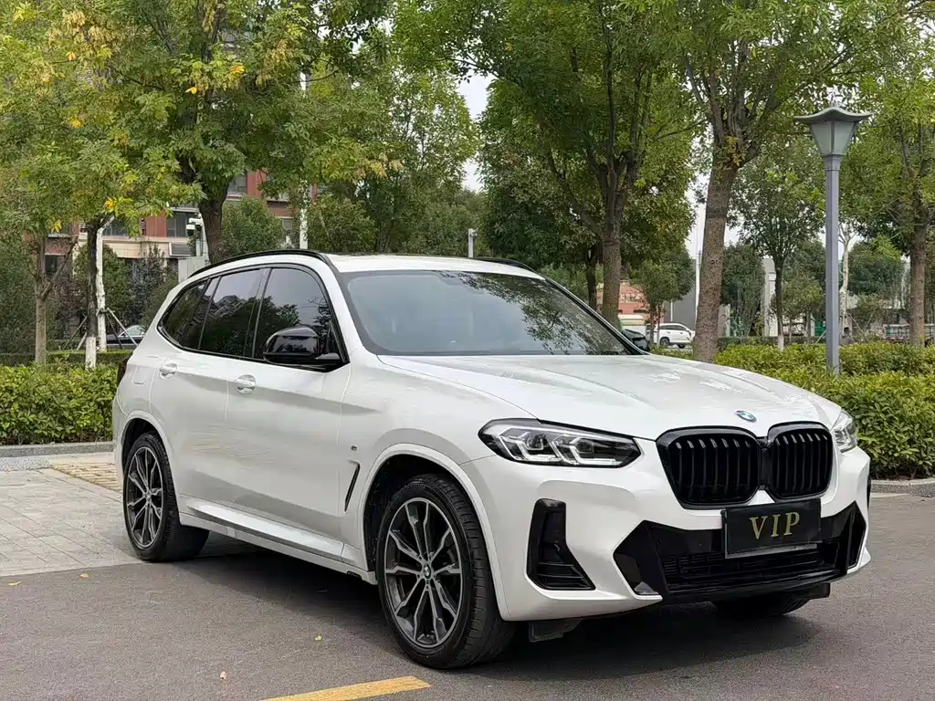 BMW X3 — миниатюра 3
