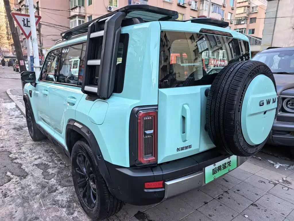 HAVAL RAPTORS NEW ENERGY