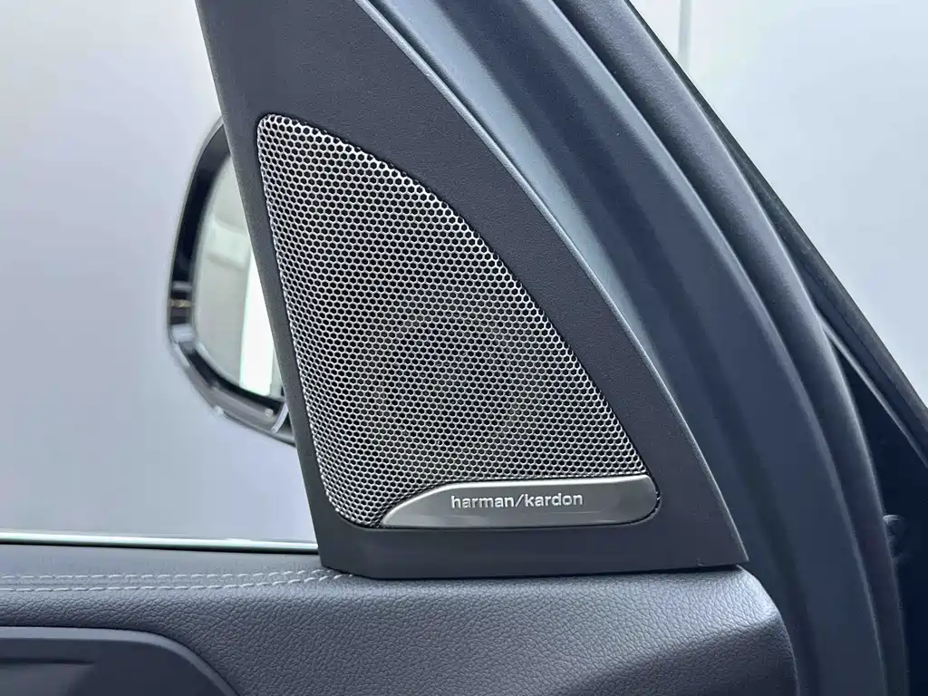 BMW X5 — миниатюра 11