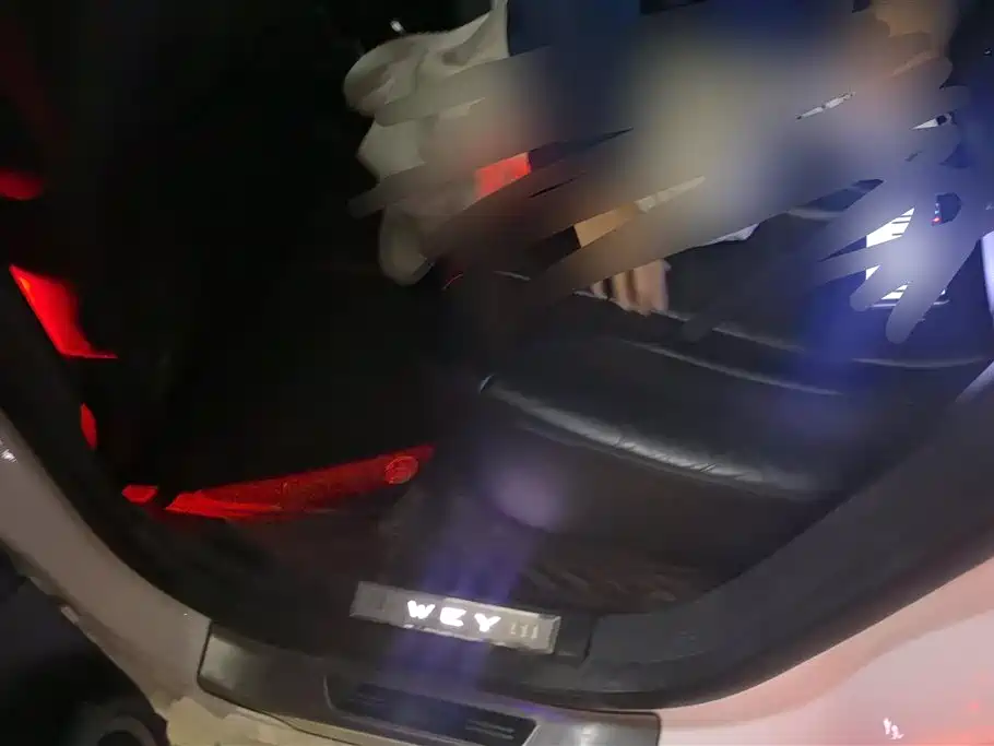 WEI PAI WEI BRAND VV7