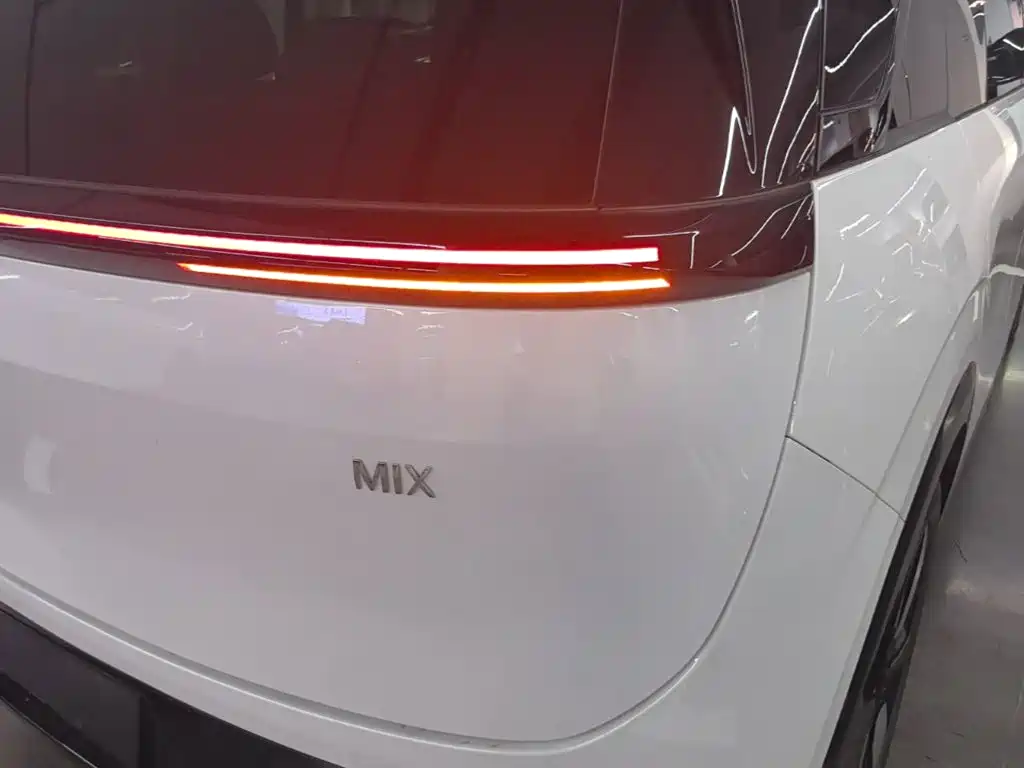 Zeekr Mix 2025 Smart Drive