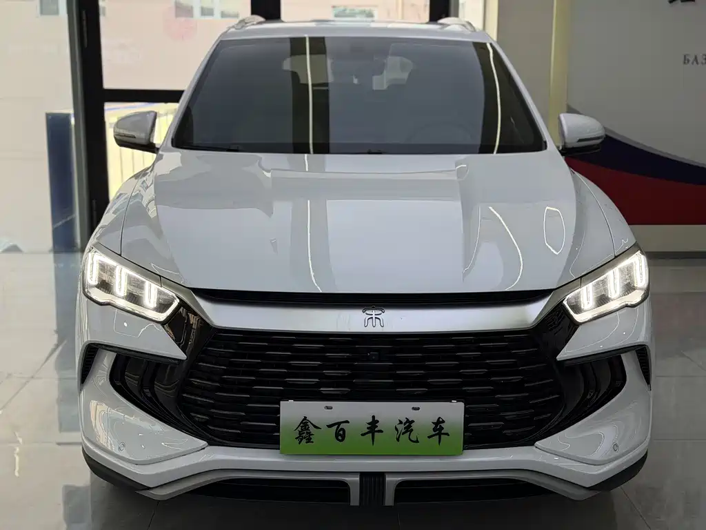 BYD Pro New Energy — миниатюра 2