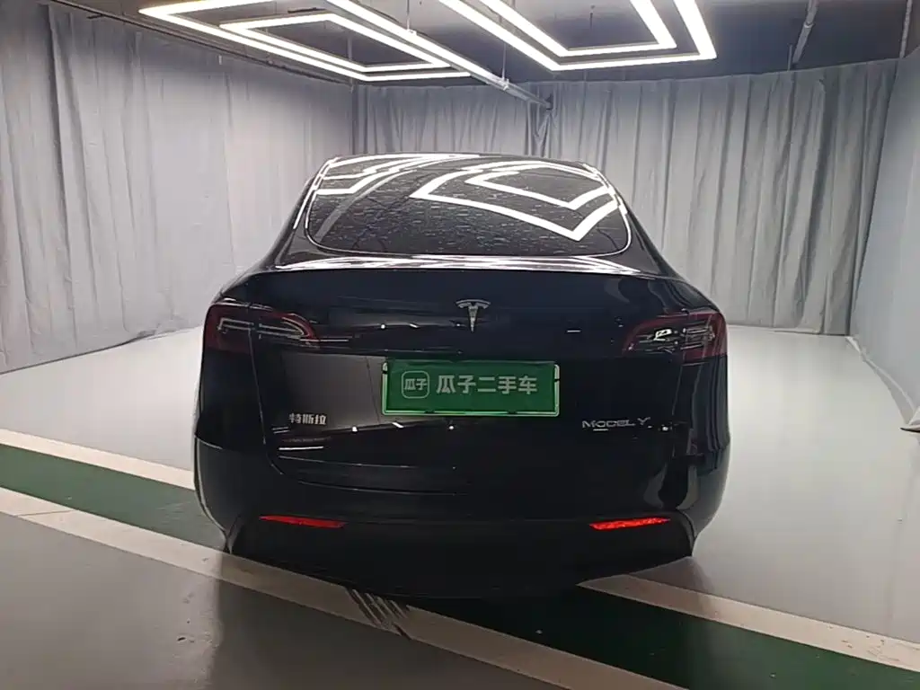 Tesla Model Y — миниатюра 6
