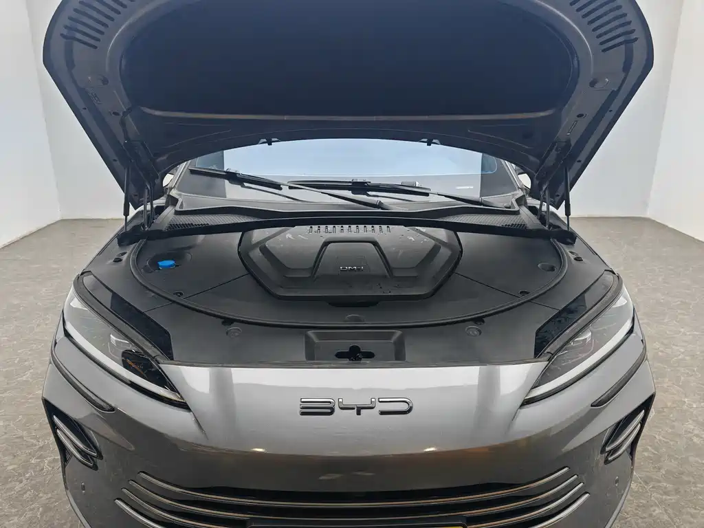 BYD SONGJIANG NEW ENERGY