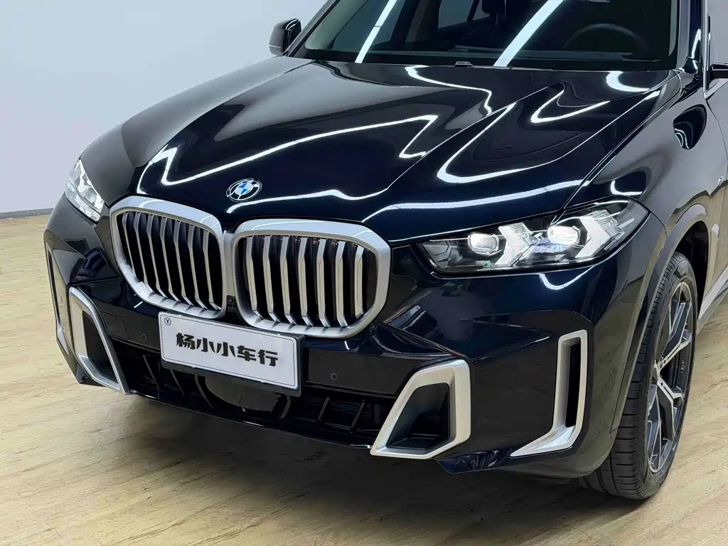 BMW X5 — миниатюра 4