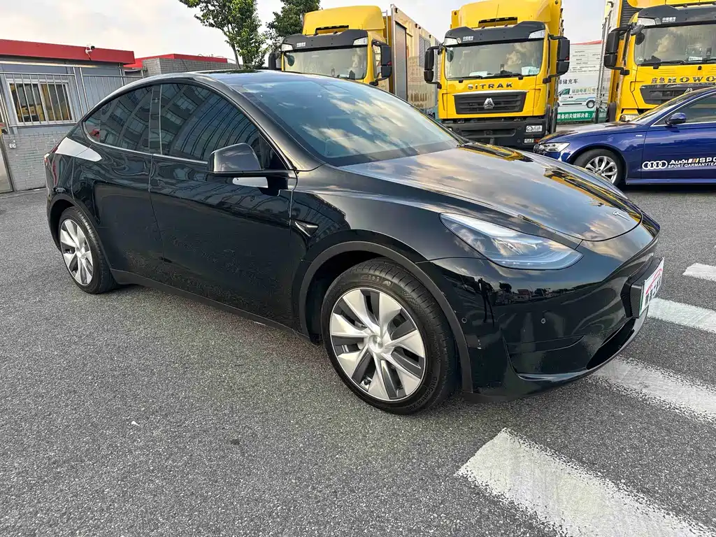 Tesla Model Y — миниатюра 3