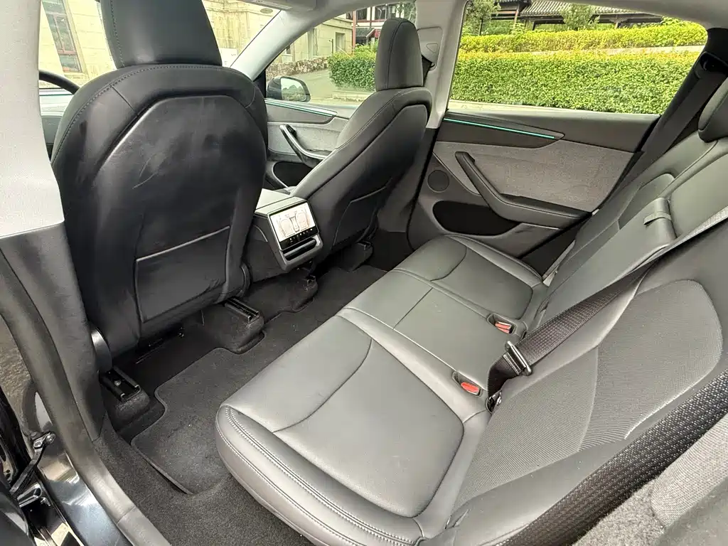 Tesla Model Y — миниатюра 9