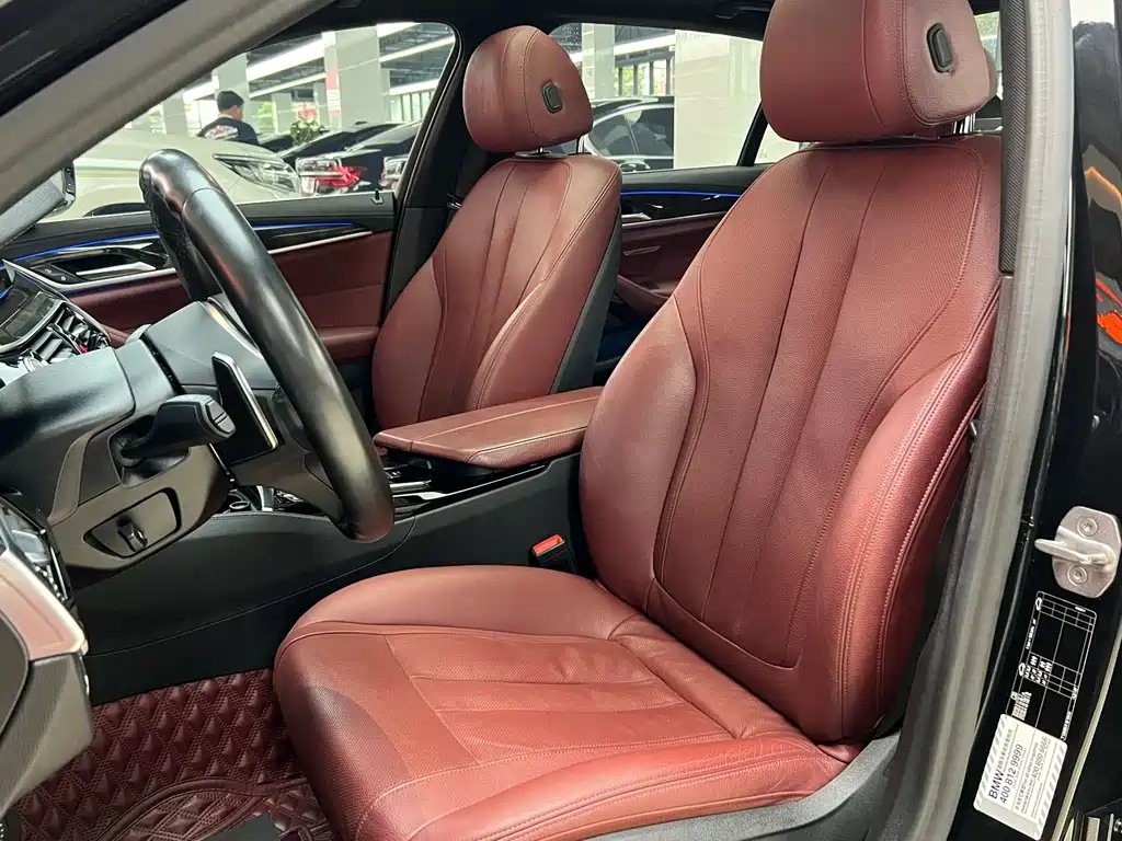 BMW 5 Series 5 2020 530Li Premium M Sport