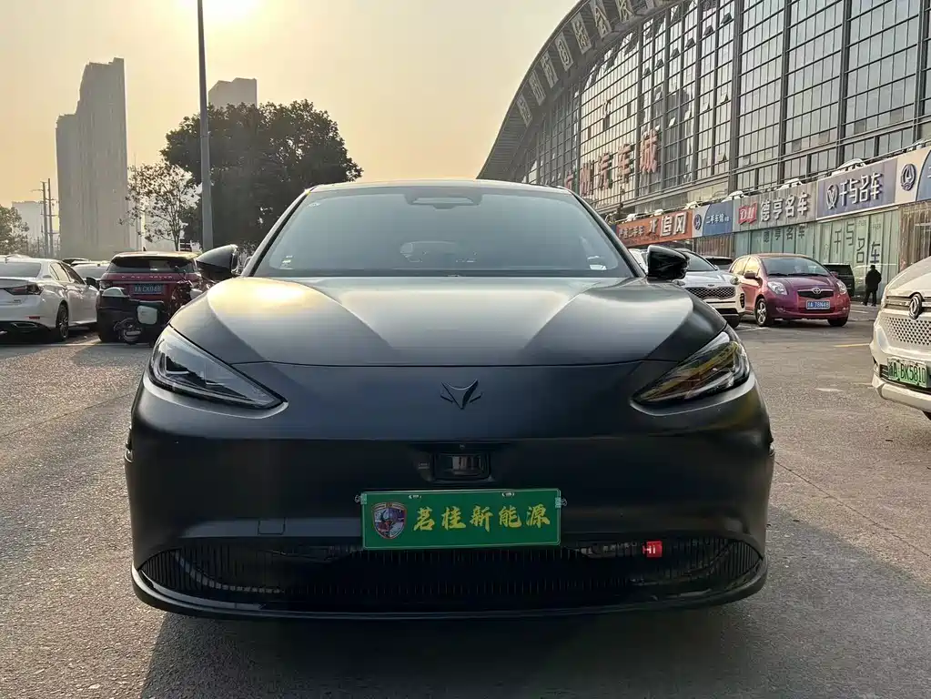 ARCFOX EXTREME FOX POLAR FOX ALPHA S