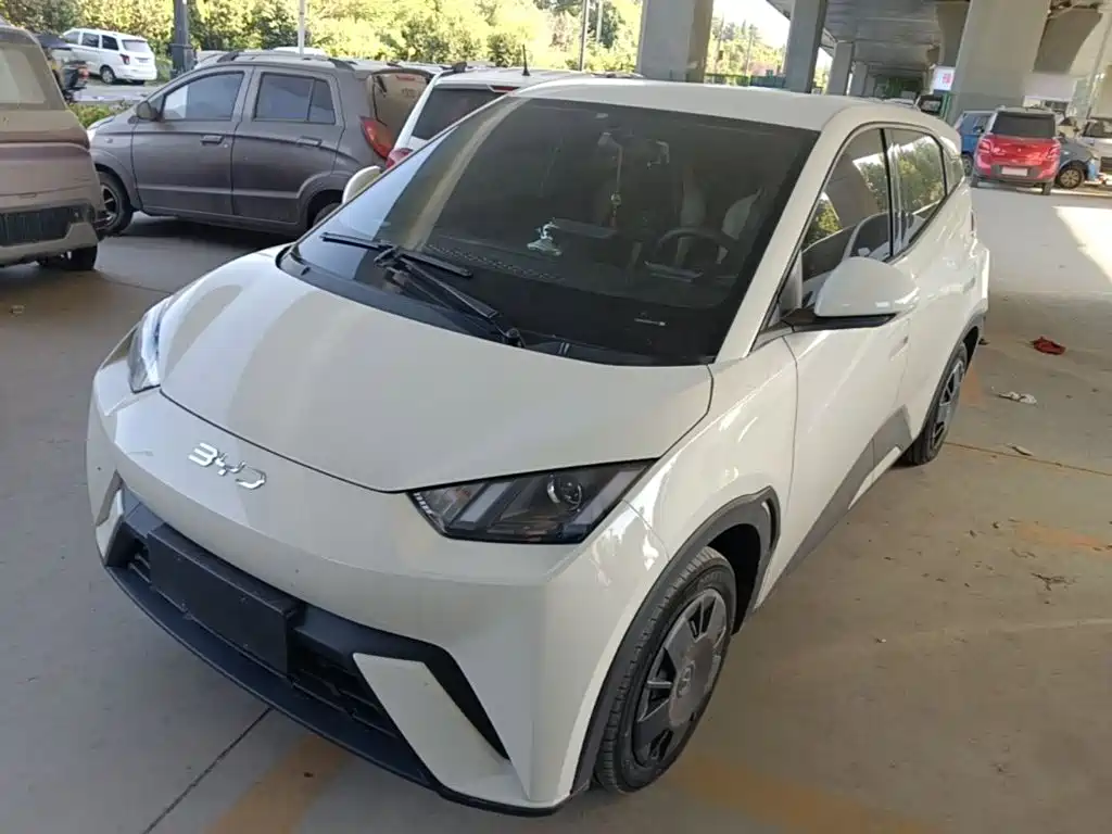 BYD Seagull