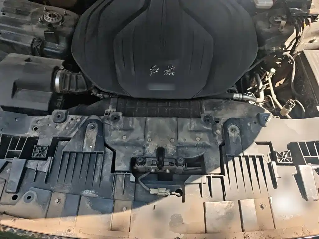 Hongqi Hongqi H9 — миниатюра 16