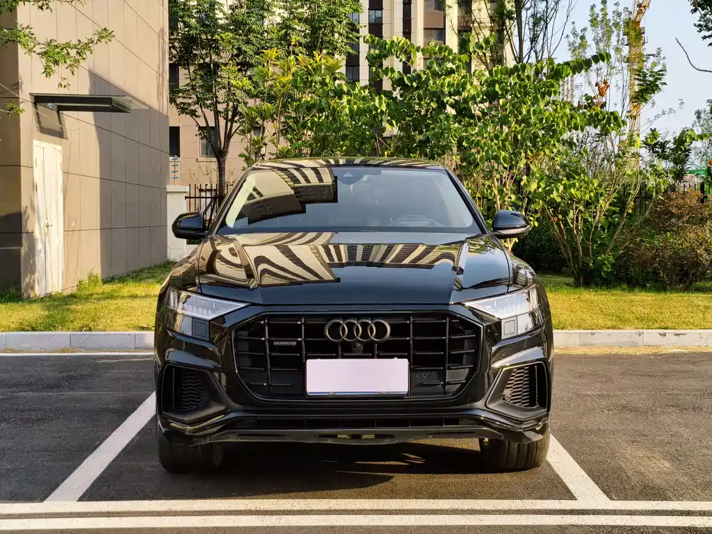 Audi Q8 2022 55 TFSI Luxury