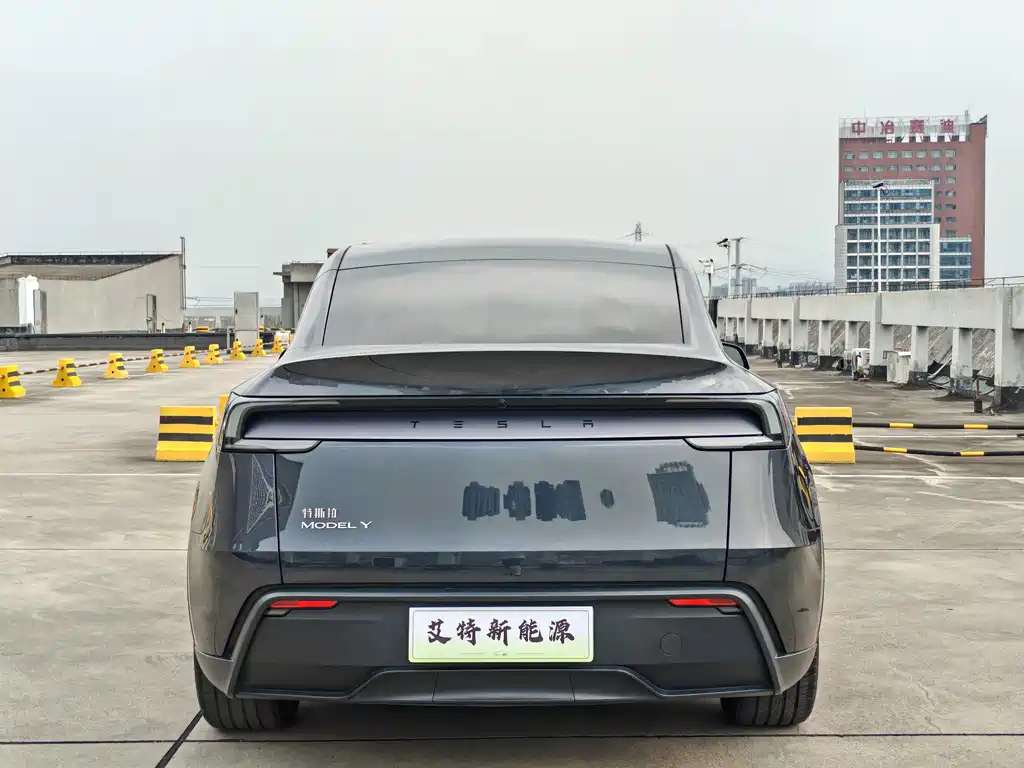 Tesla Model Y — миниатюра 6