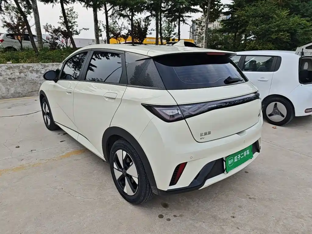 BYD Dolphin — миниатюра 5