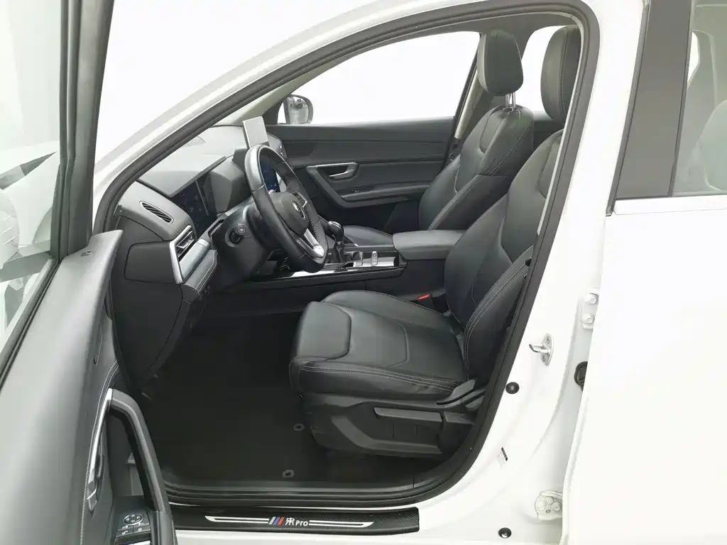 BYD Pro — миниатюра 10