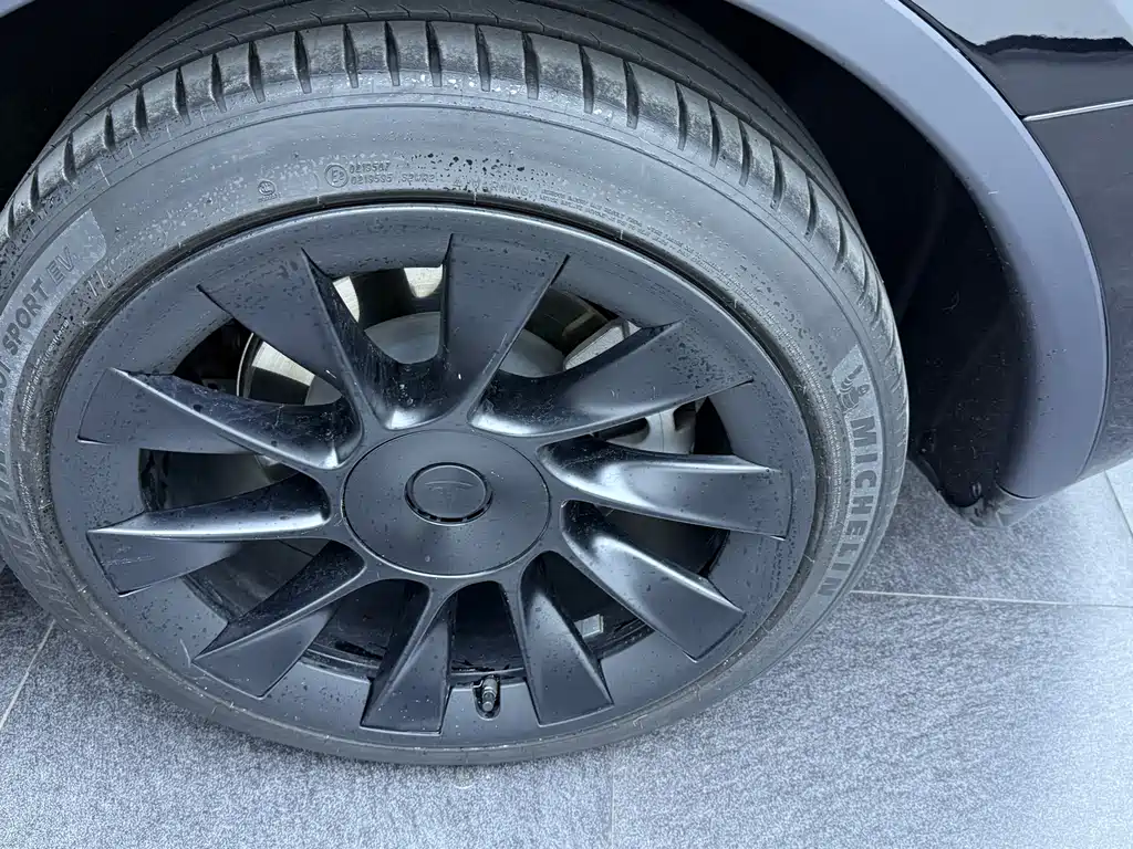 Tesla Model Y — миниатюра 7