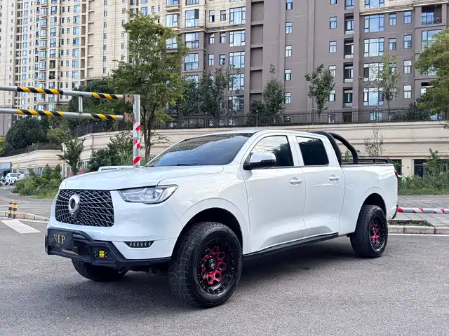 GREAT WALL CANNON 2023