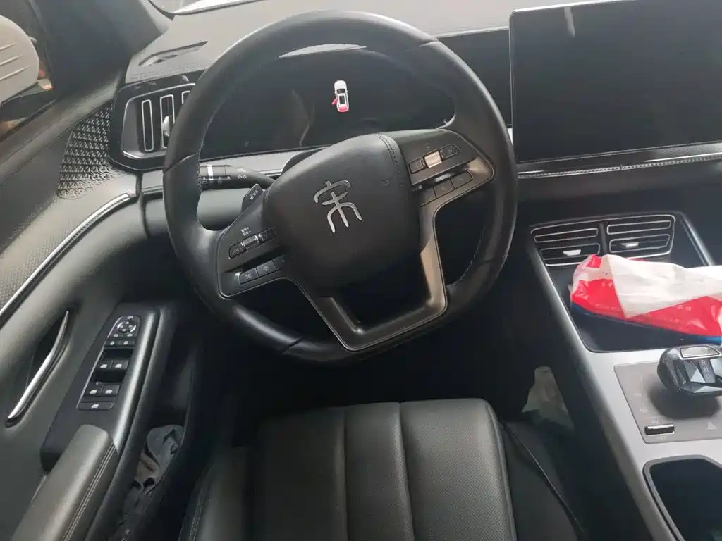 BYD Pro New Energy — миниатюра 11