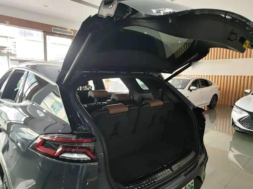 BYD Tang New Energy — миниатюра 19