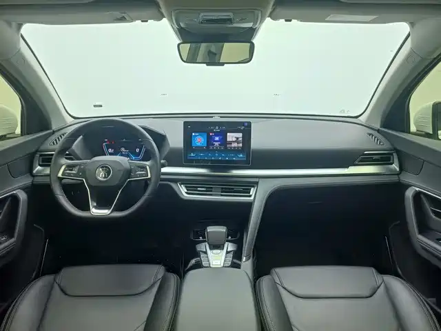 BYD Pro — миниатюра 5