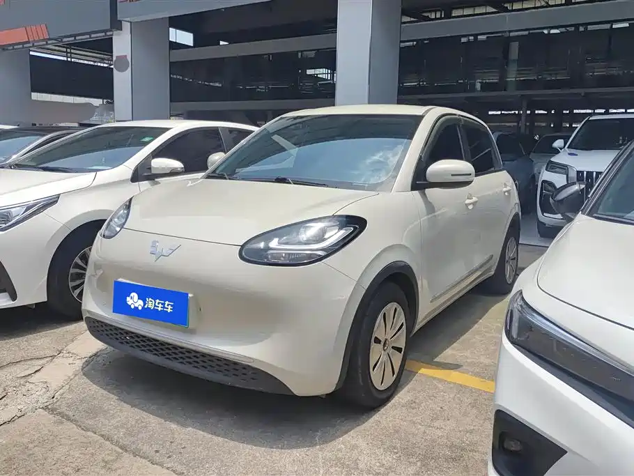 Wuling Binguo 2023 203km Light Enjoy