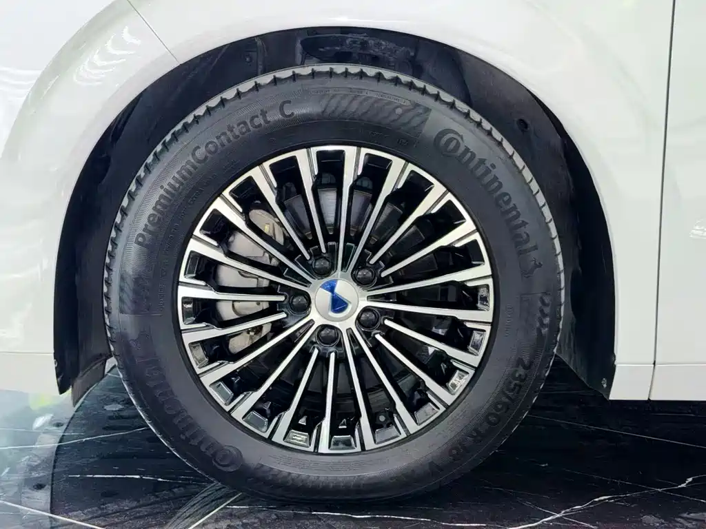 Denza Denza D9 — миниатюра 17