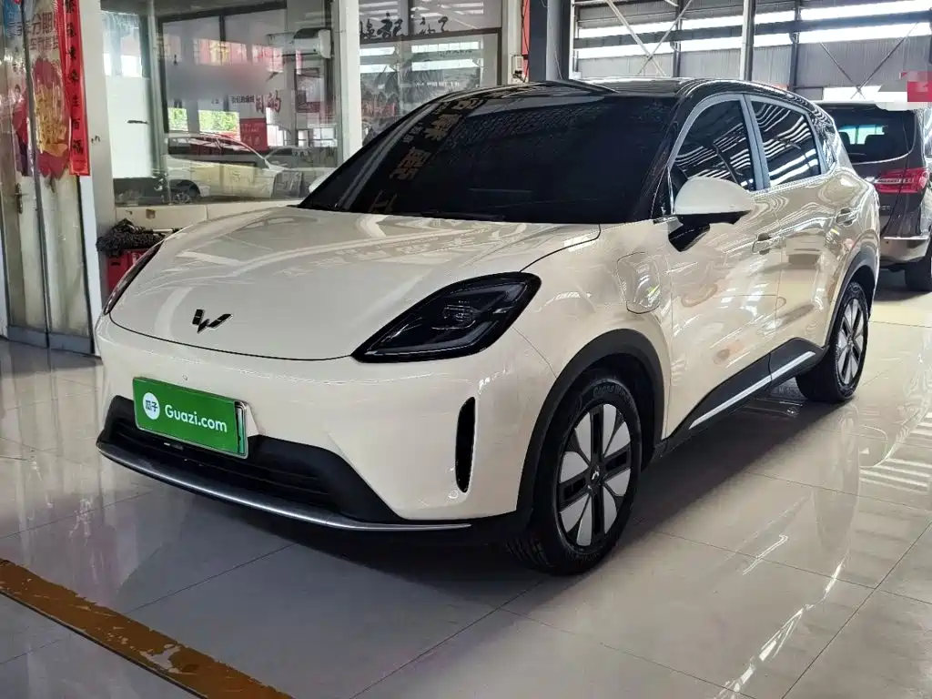 Wuling BinguoS S 2025 325km Premium