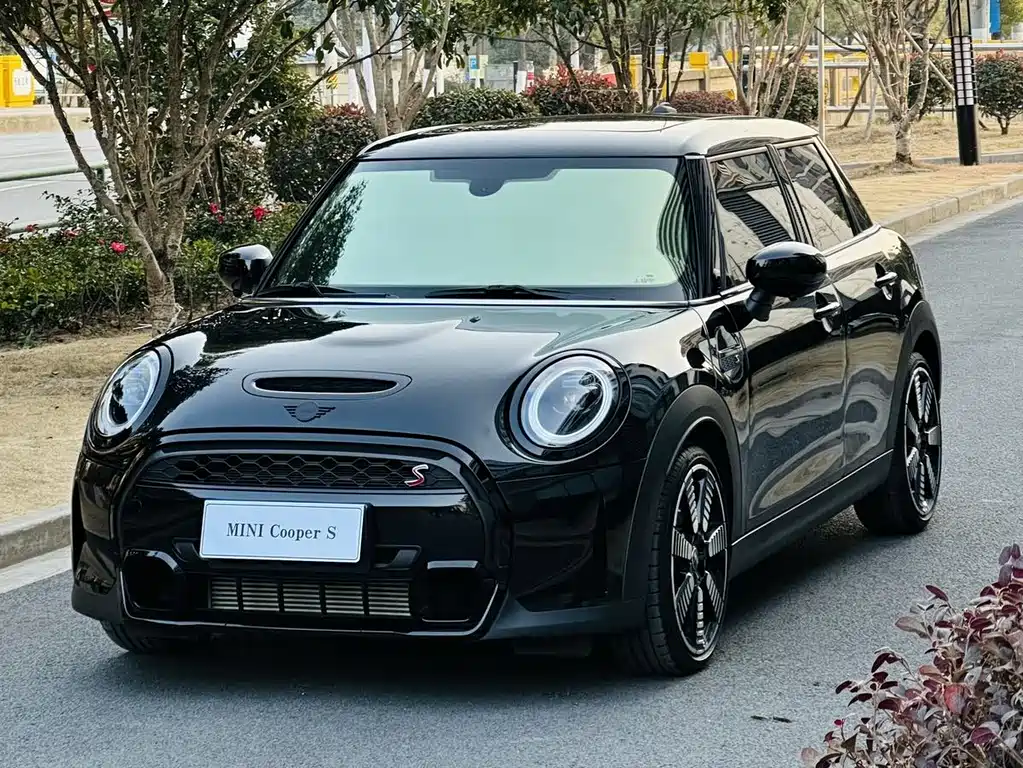 Mini Mini 2024
