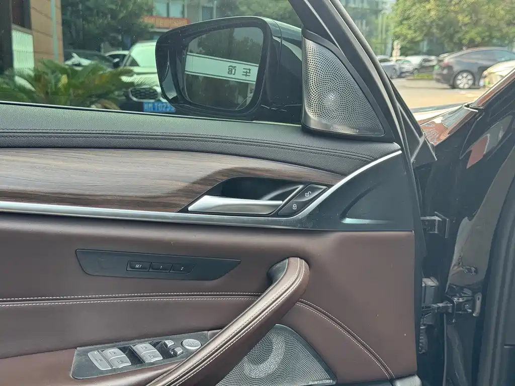 BMW 5 Series 5 2019 530Li Lead Luxury