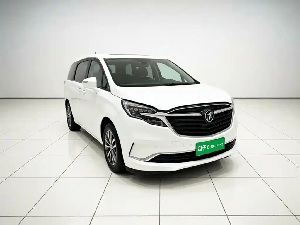 Buick GL8 — миниатюра 3