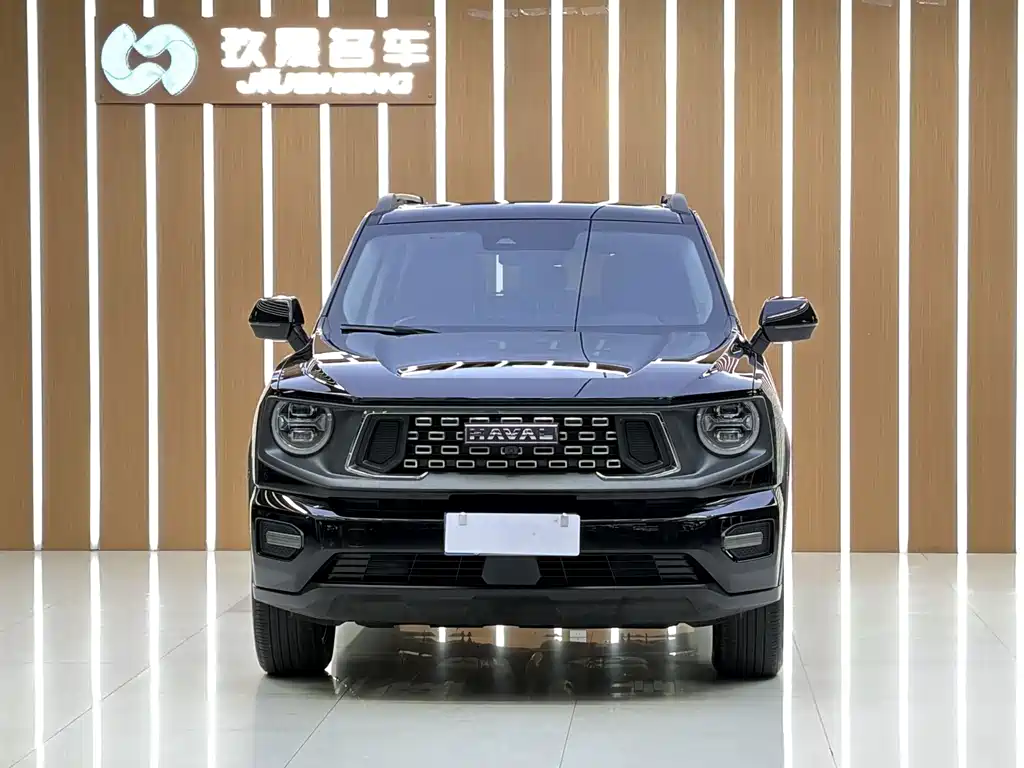 Haval Big Dog PLUS — миниатюра 2