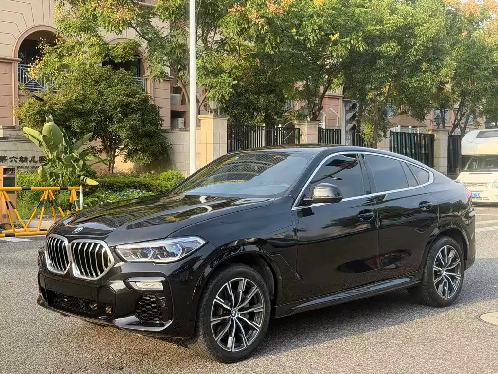 BMW X6 — миниатюра 3