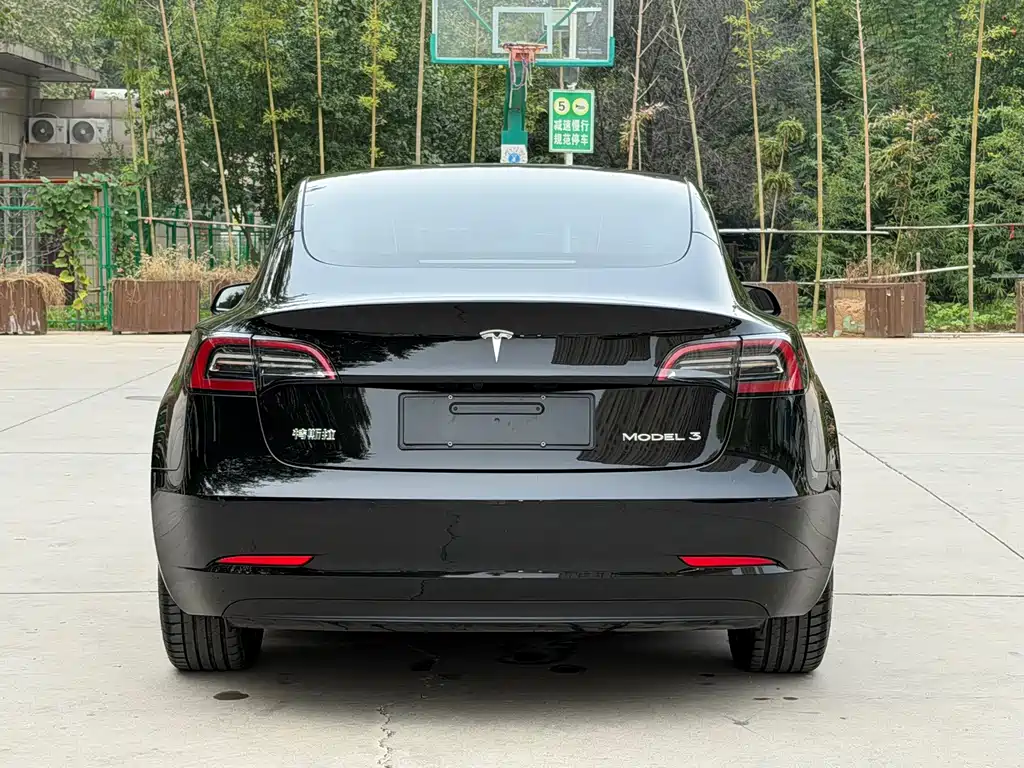 Tesla Model 3 — миниатюра 8