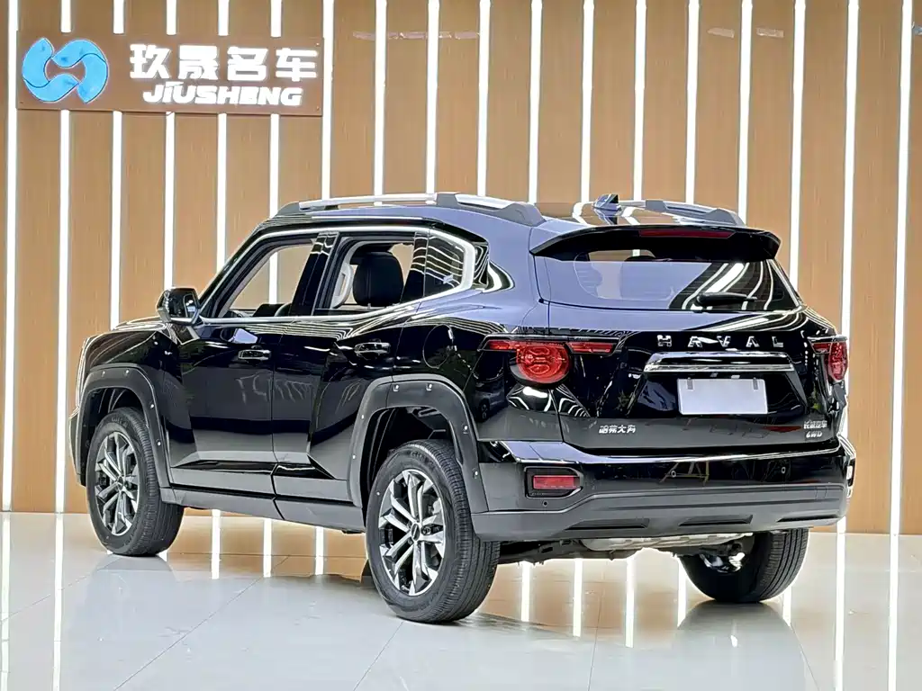 Haval Big Dog PLUS — миниатюра 21