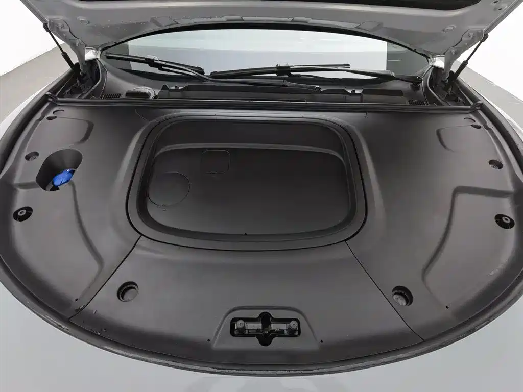 Neta S 2024 300 Standard