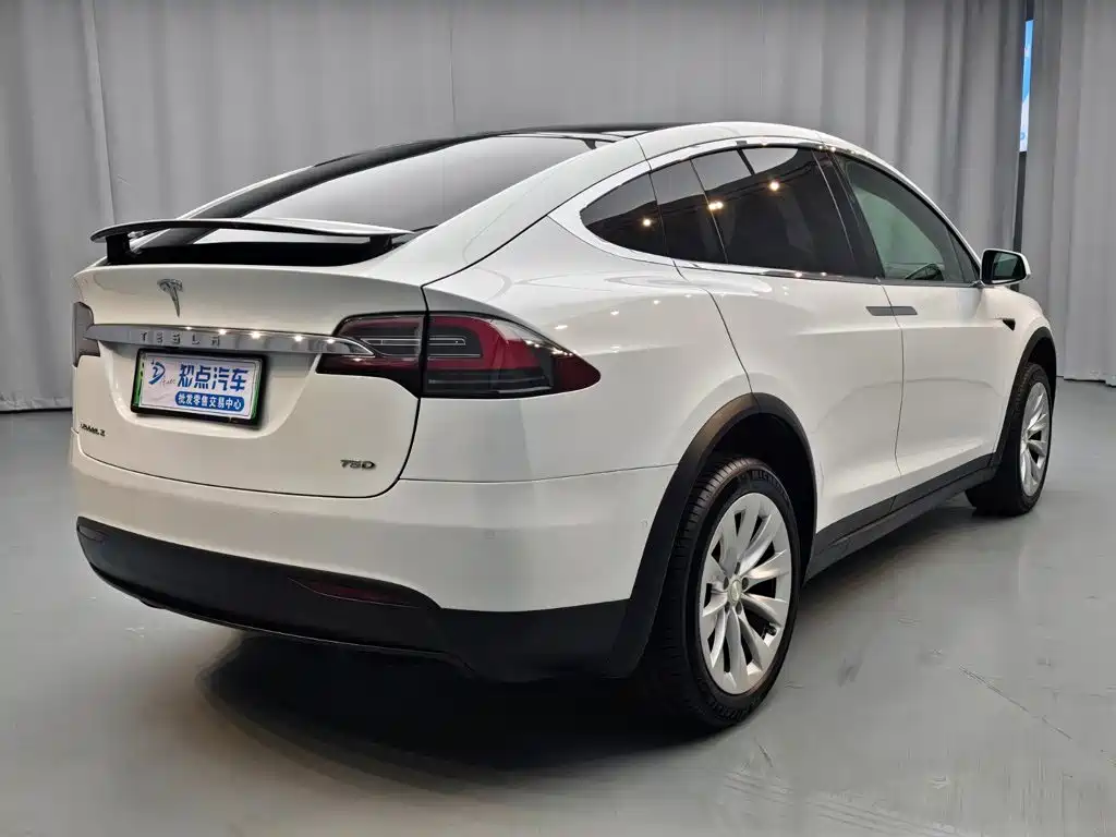 Tesla Model X — миниатюра 6