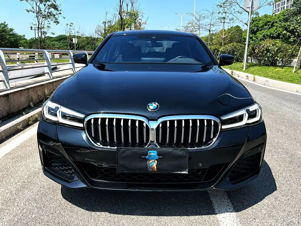 BMW 5 Series — миниатюра 2