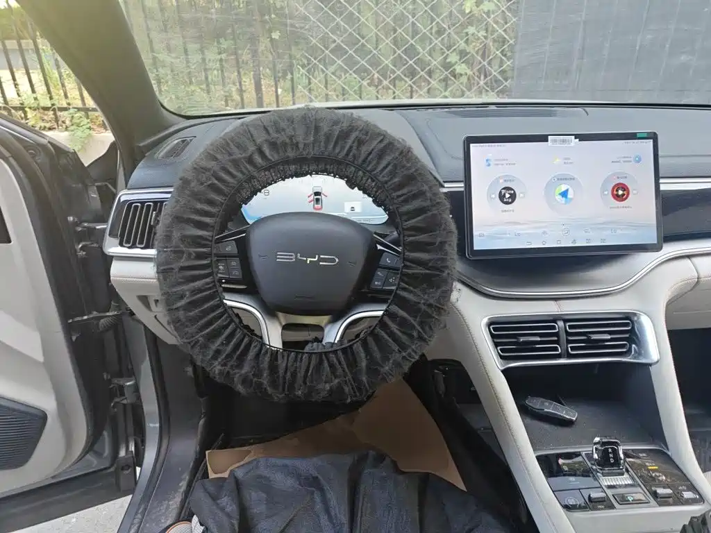 BYD PLUS New Energy — миниатюра 6