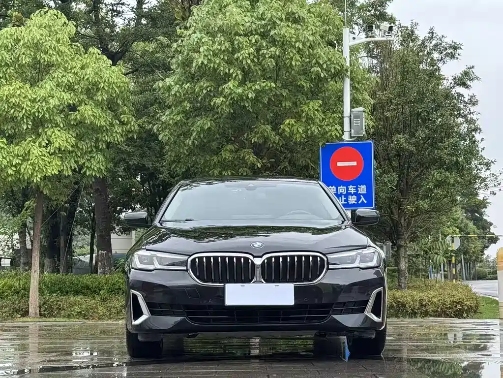 BMW 5 Series 5 2021 530Li Premium Luxury