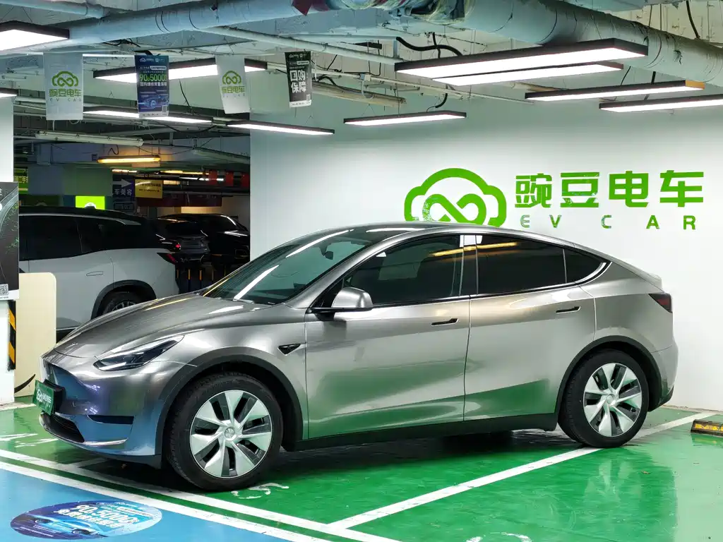 Tesla Model Y — миниатюра 2