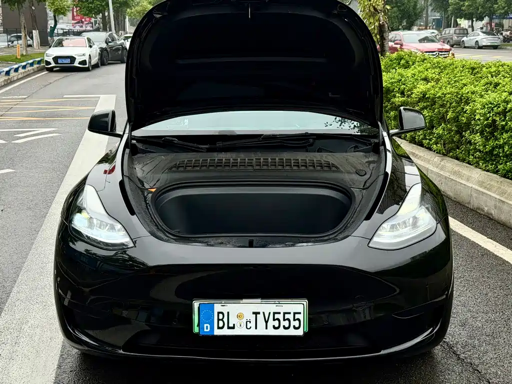 Tesla Model Y — миниатюра 8