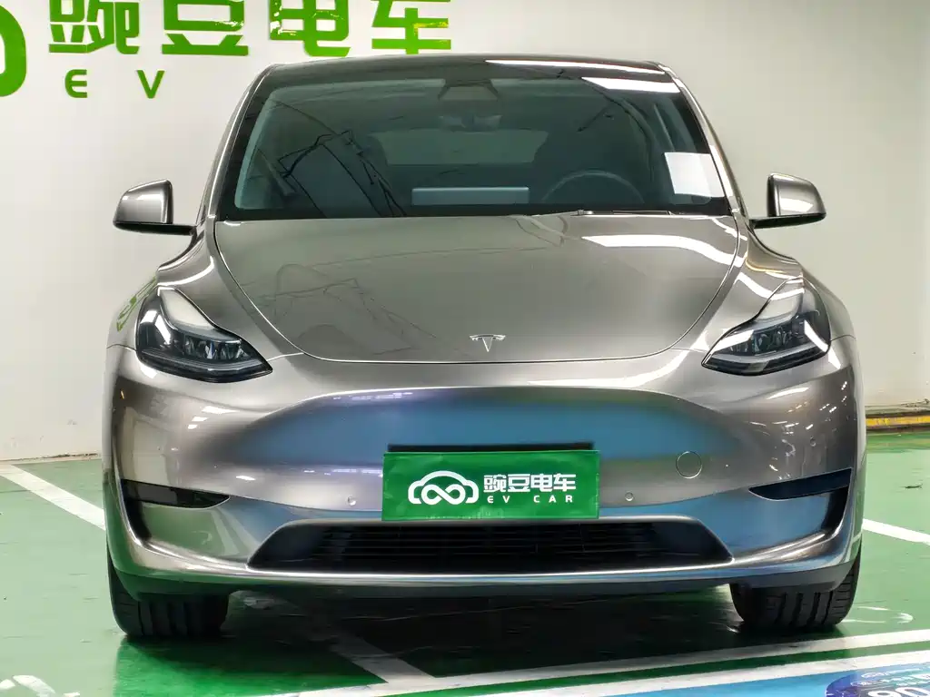 Tesla Model Y — миниатюра 4