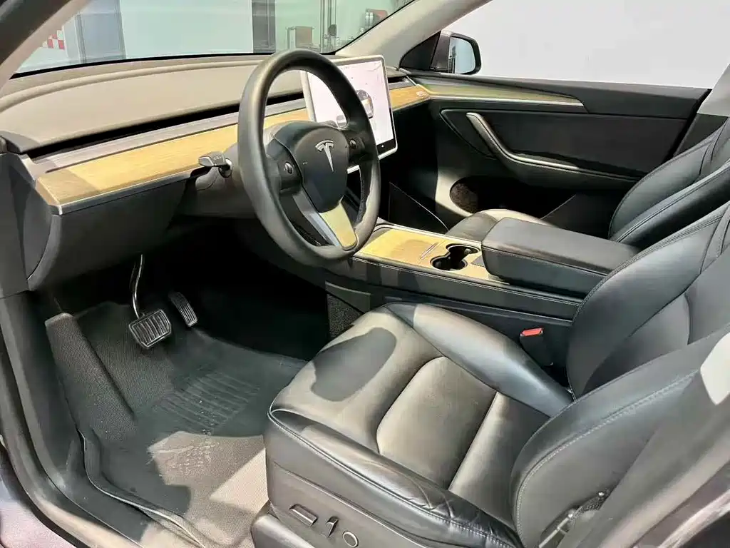 Tesla Model Y — миниатюра 4