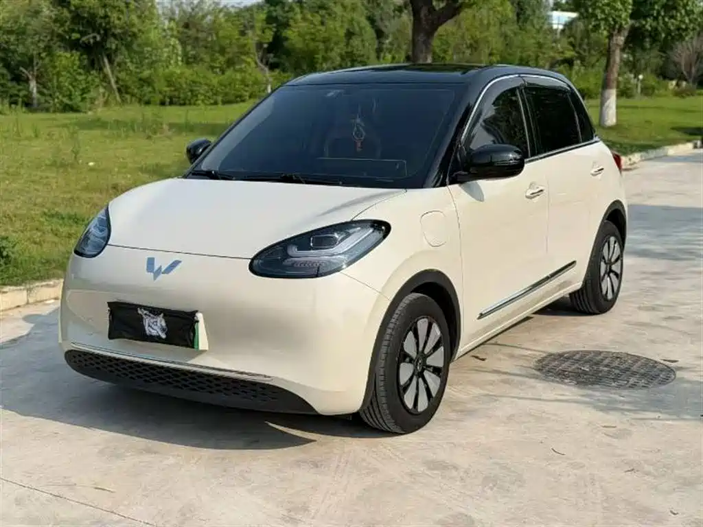 Wuling Binguo 2024 333km Enjoy