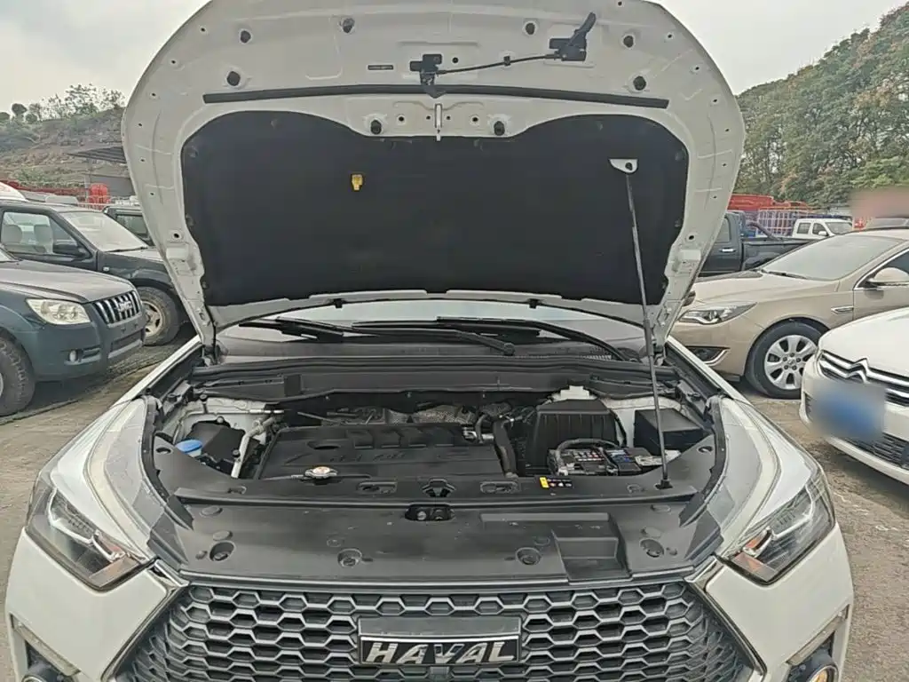 Haval H6 Coupe — миниатюра 20