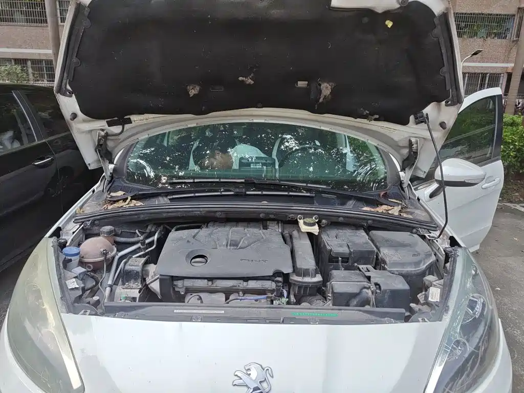 Peugeot 308 — миниатюра 21